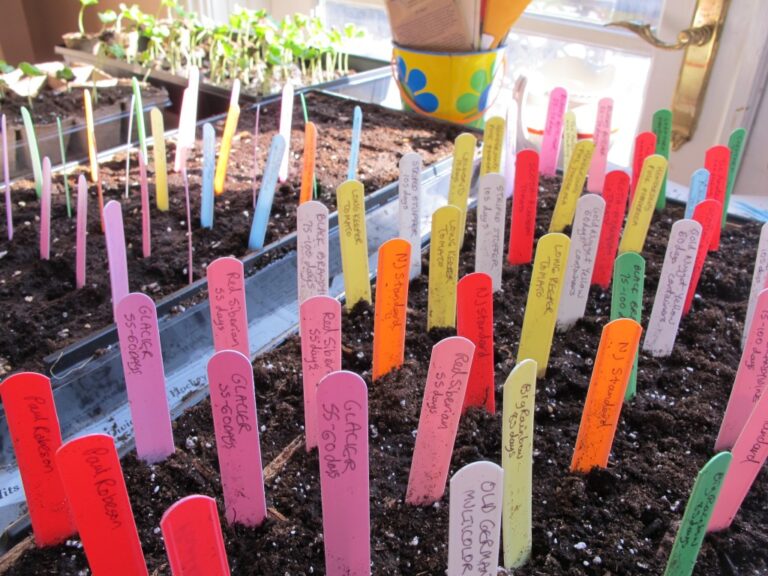 Seed indicators in earth