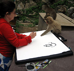 Snow monkey helps paint