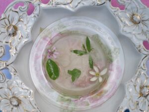 Food 177425 Vivian Reiss