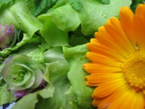 Food 179800 Vivian Reiss