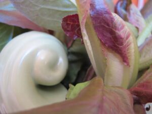 Food 180975 Vivian Reiss