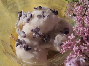 Food 293801 Vivian Reiss