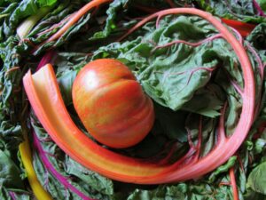 Food 295386 Vivian Reiss