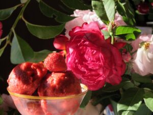 Food 295521 Vivian Reiss