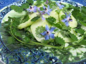 Food 296991 Vivian Reiss