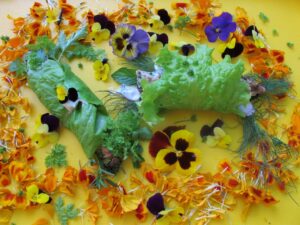 Food 298831 Vivian Reiss