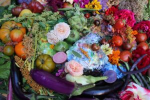 Food 516048 Vivian Reiss