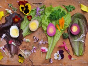 Food 523893 Vivian Reiss