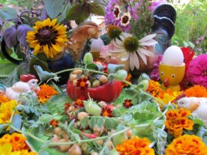 Food 6867 Vivian Reiss