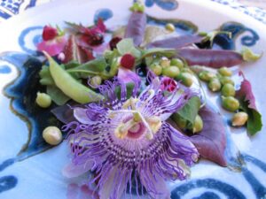 Food 952679 Vivian Reiss