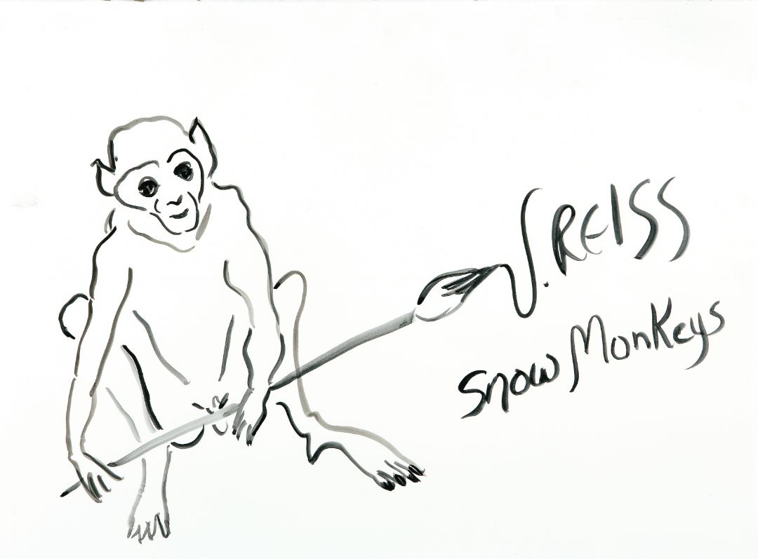 Snow Monkeys by V.Reiss title
