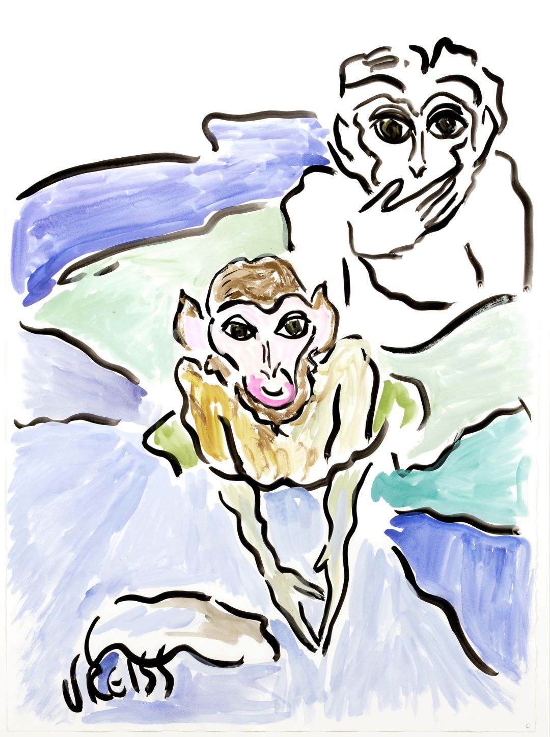 Snow monkeys in hotsprings