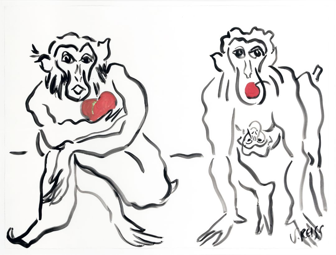 Snow monkeys with apples