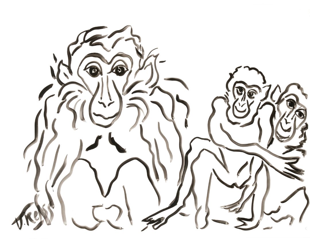 Three illustrated snow monkeys