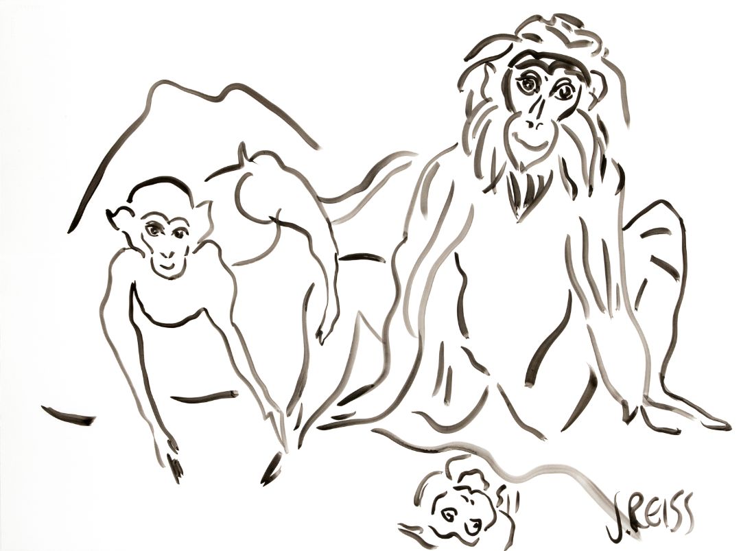Three illustrated snow monkeys