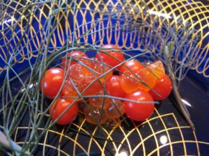 Spoon tomatoes aug 2010 twirls Vivian Reiss