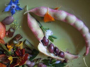 vivianreiss food1 beans