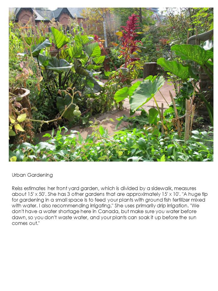 Web page screenshot of garden