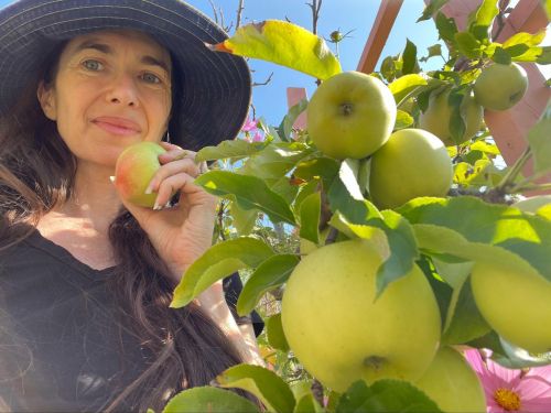 Ariel picking apples