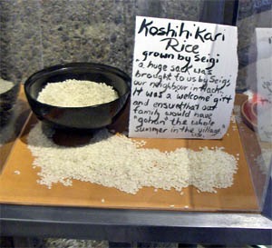 Seiji Omi's rice